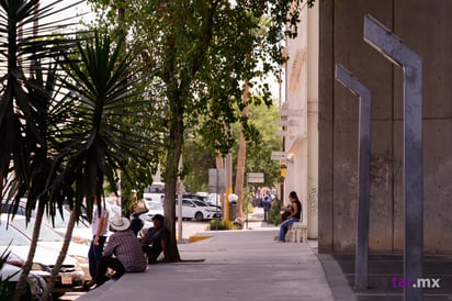 Aprendiendo fotografía