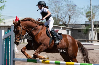 Tercer concurso de salto ecuestre 2019, Hípico La Cabaña