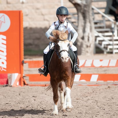 Concurso de salto Las Brisas