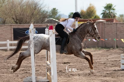 Concurso de salto Las Brisas