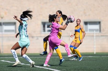 Santos vs Tigres femenil