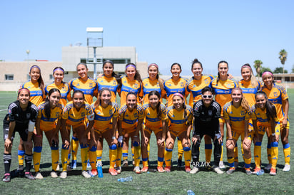 Santos vs Tigres femenil