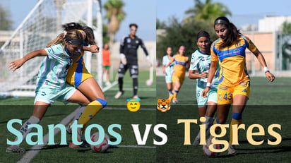 Santos vs Tigres femenil